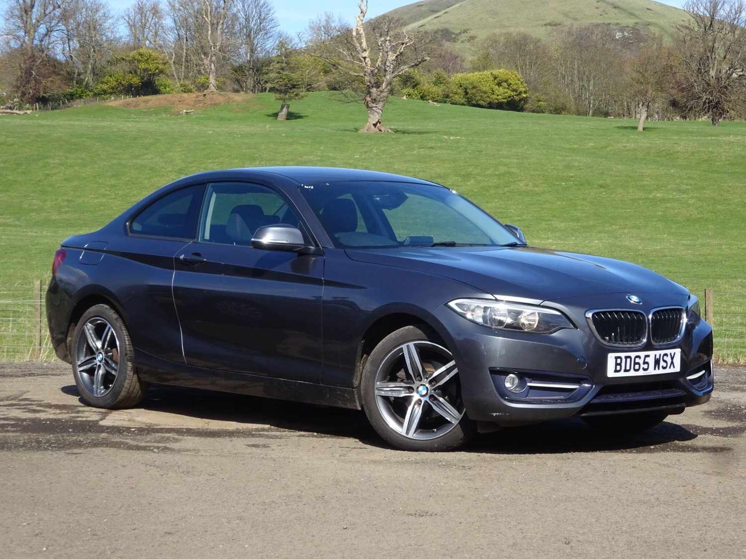 BMW 2 Series 2015 - Cars