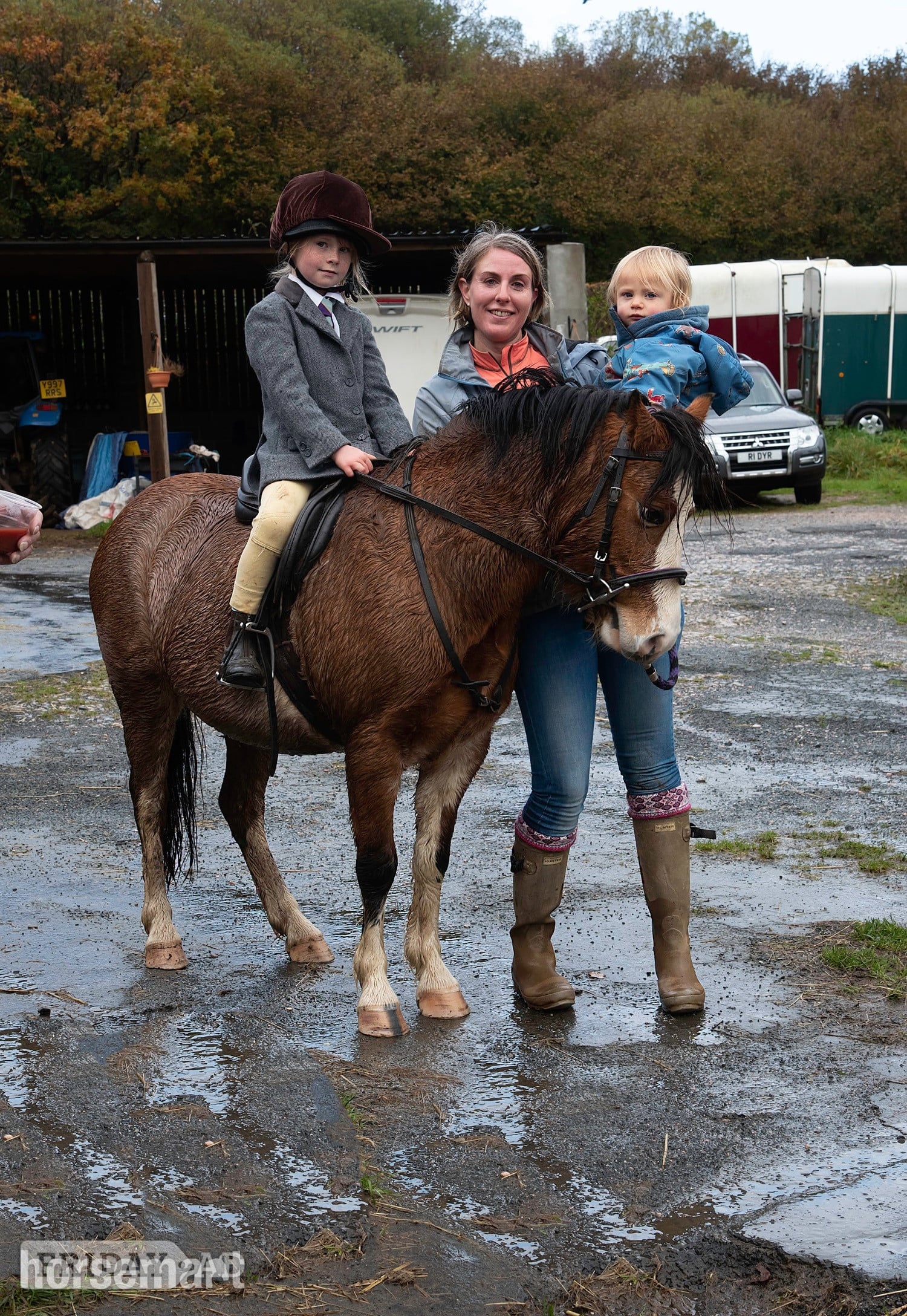 "Gwen" Chestnut Roan Mare All Rounder