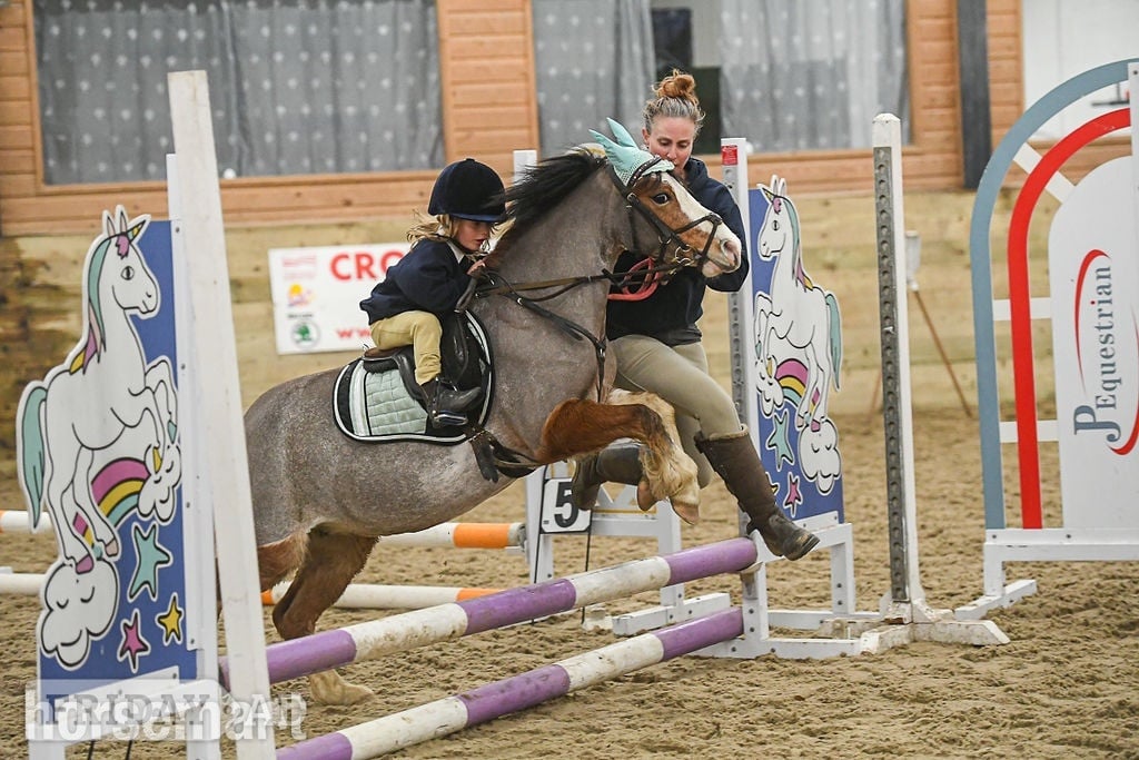 "Gwen" Chestnut Roan Mare All Rounder - Horses