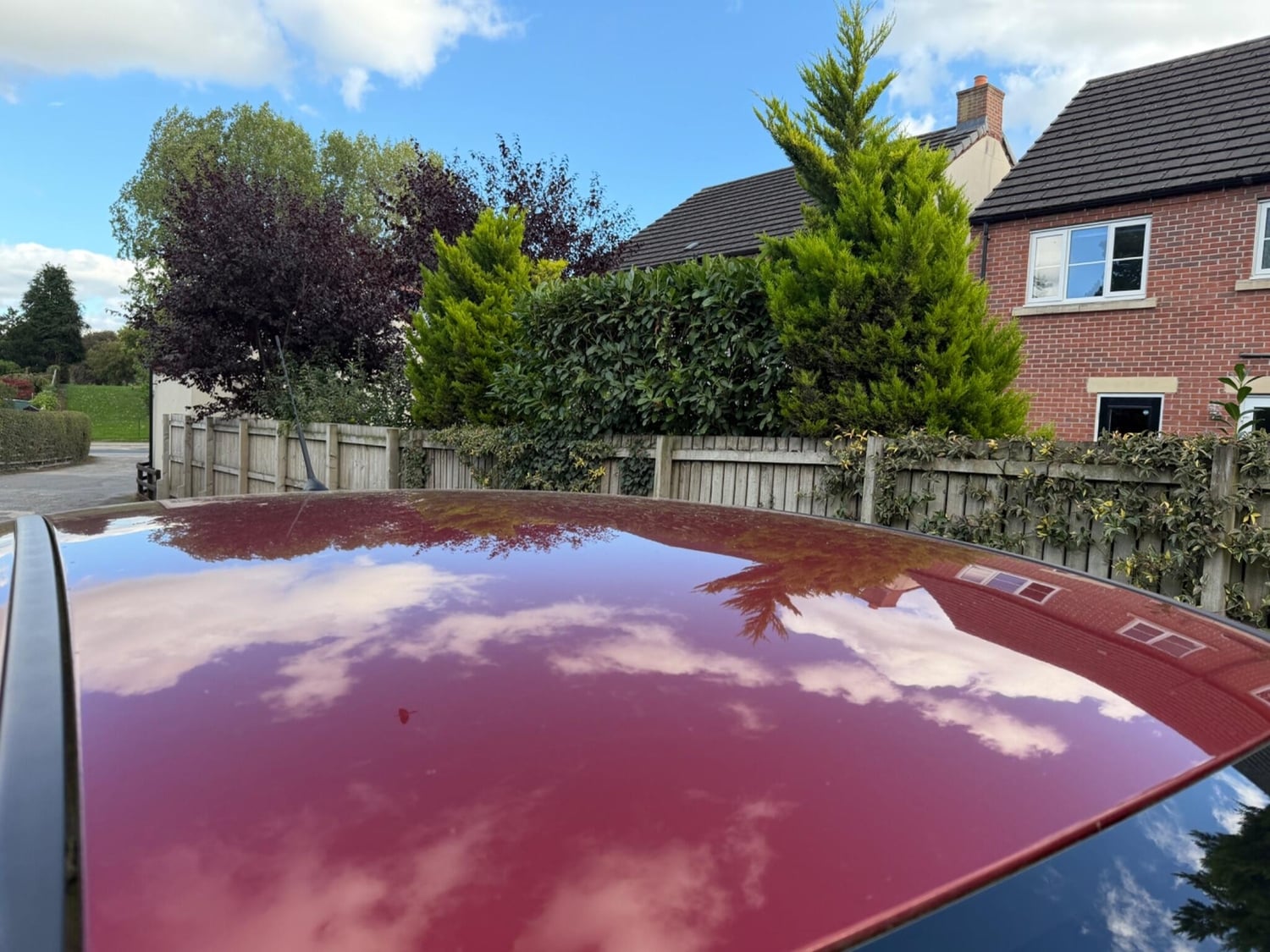 [ berth ]Ford C-MAX
