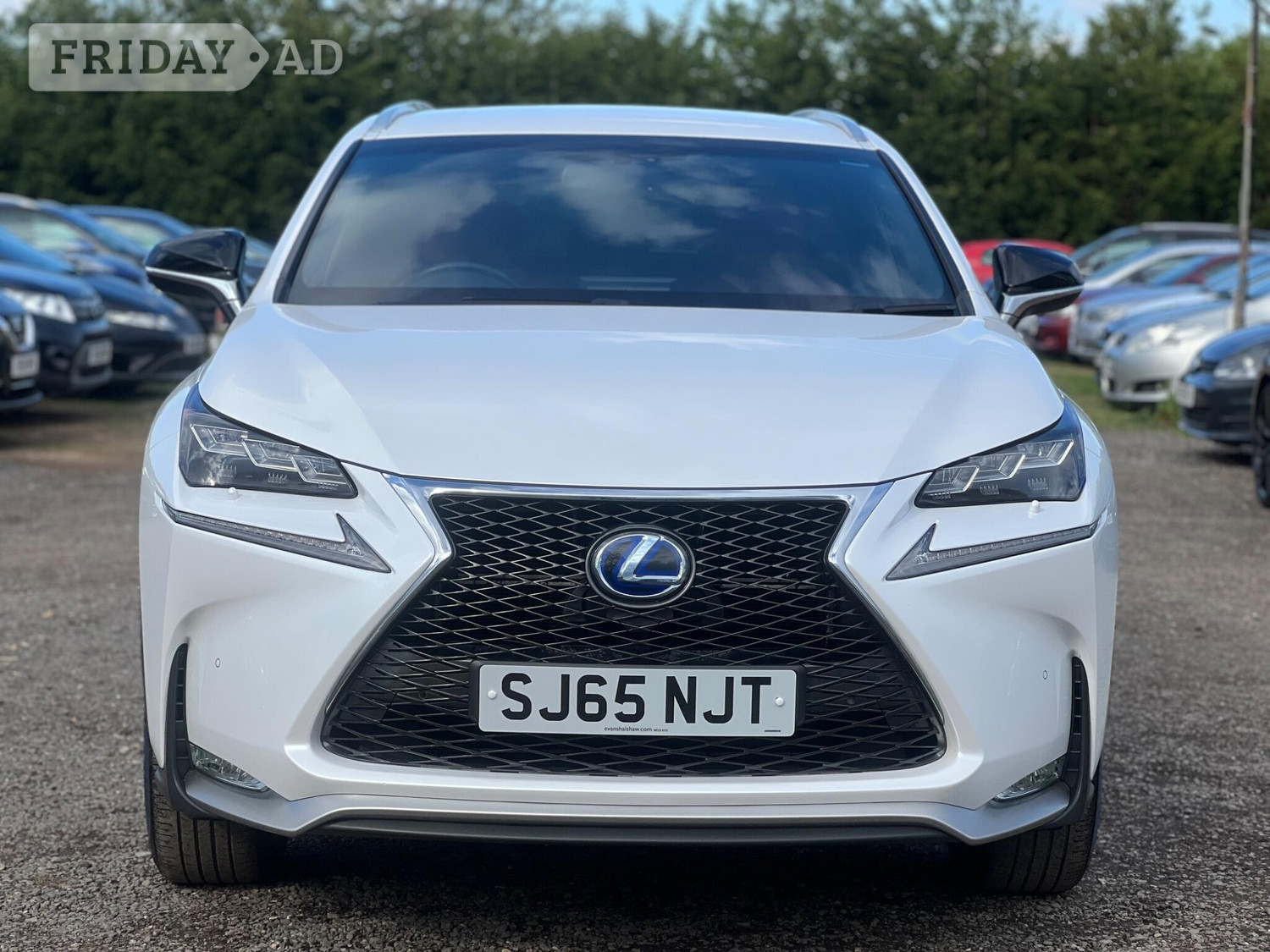 [ berth ]Lexus NX