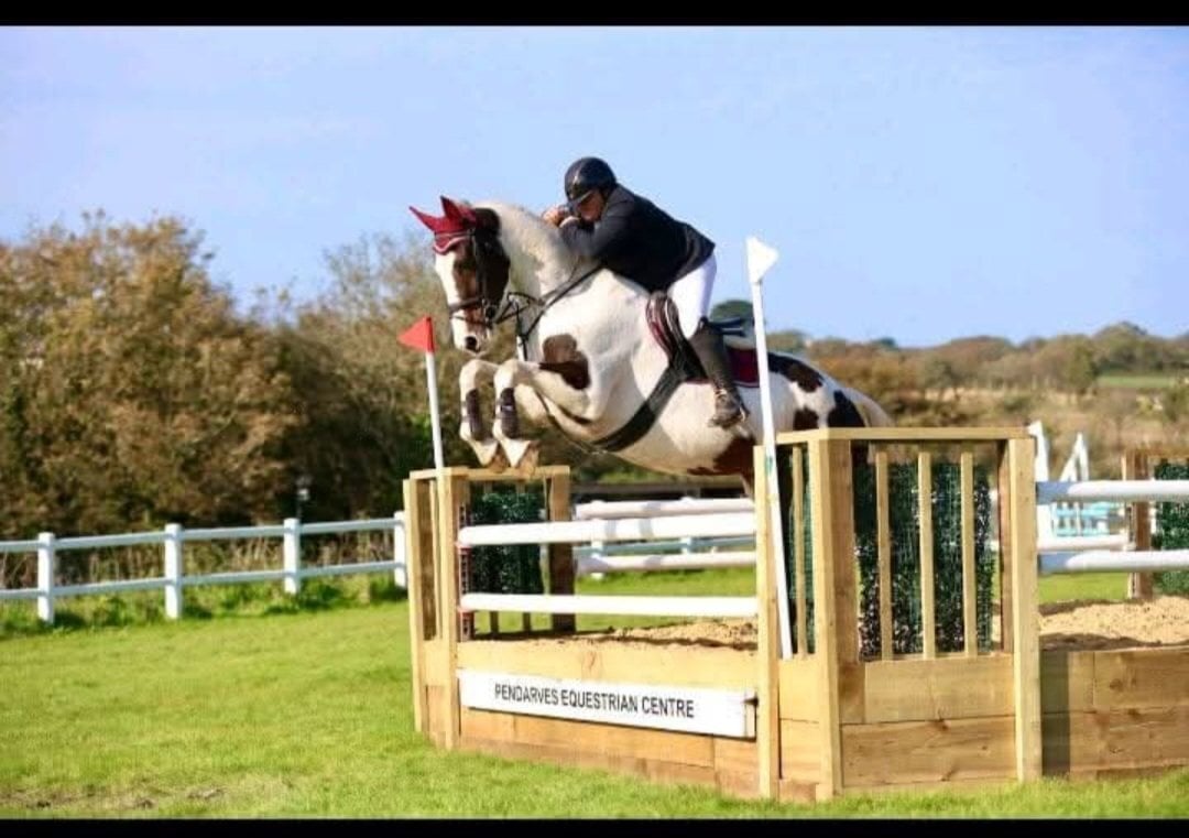 Redruth "The sapphire queen " Skewbald Mare All Rounder