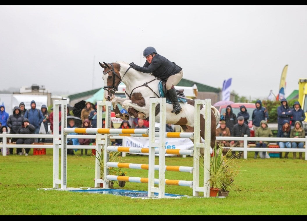 "The sapphire queen " Skewbald Mare All Rounder - Horses