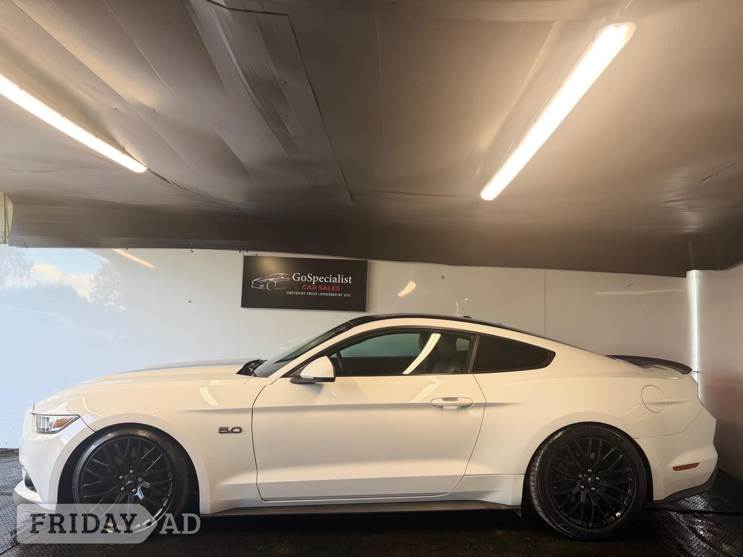 [ berth ]Ford Mustang