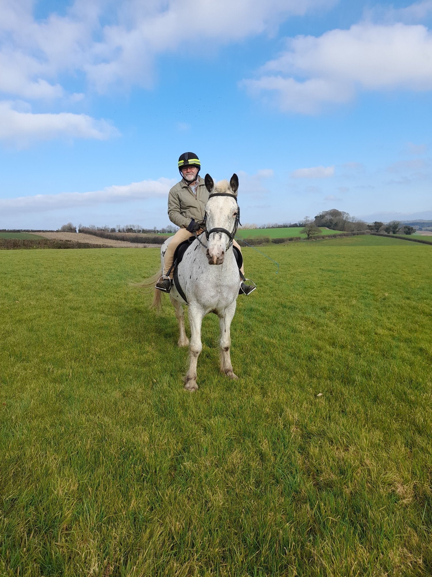 "Isabella" Coloured Mare Cob/Heavy Horse