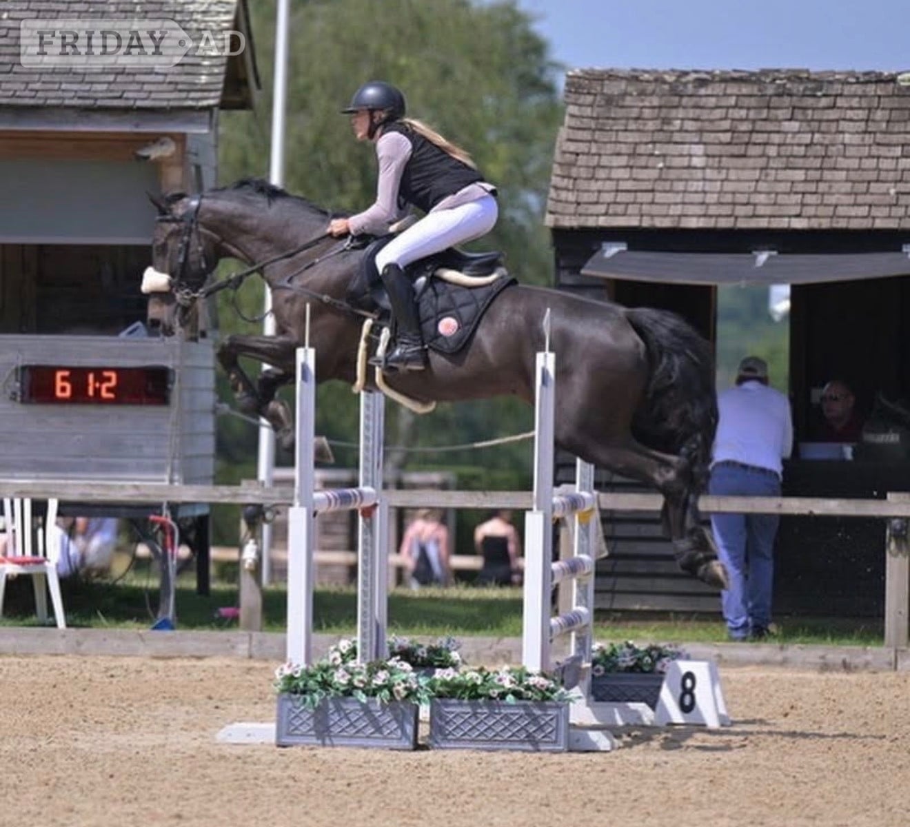 "Isabella W (Mya) " Dark Bay Mare Show Jumper in Chester