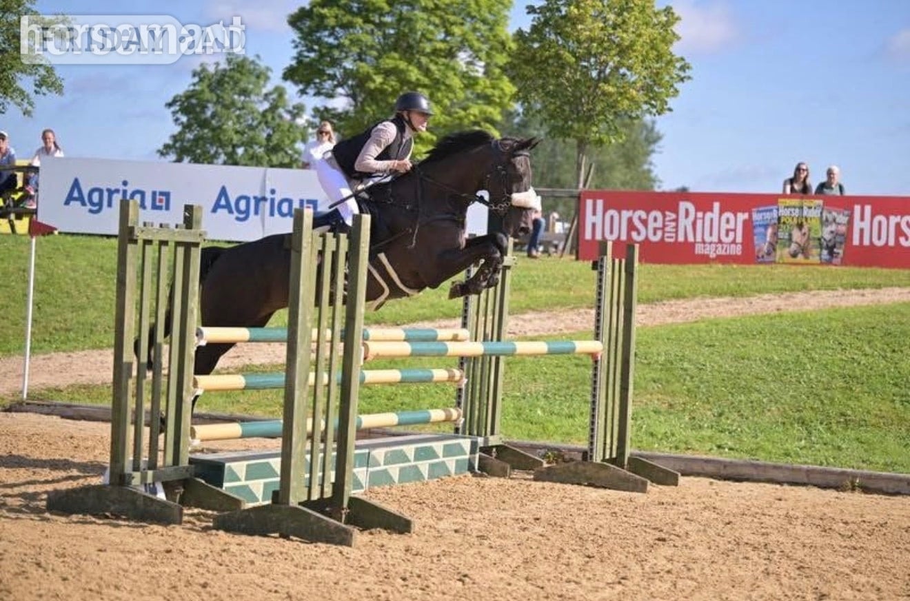 Chester "Isabella W (Mya) " Dark Bay Mare Show Jumper
