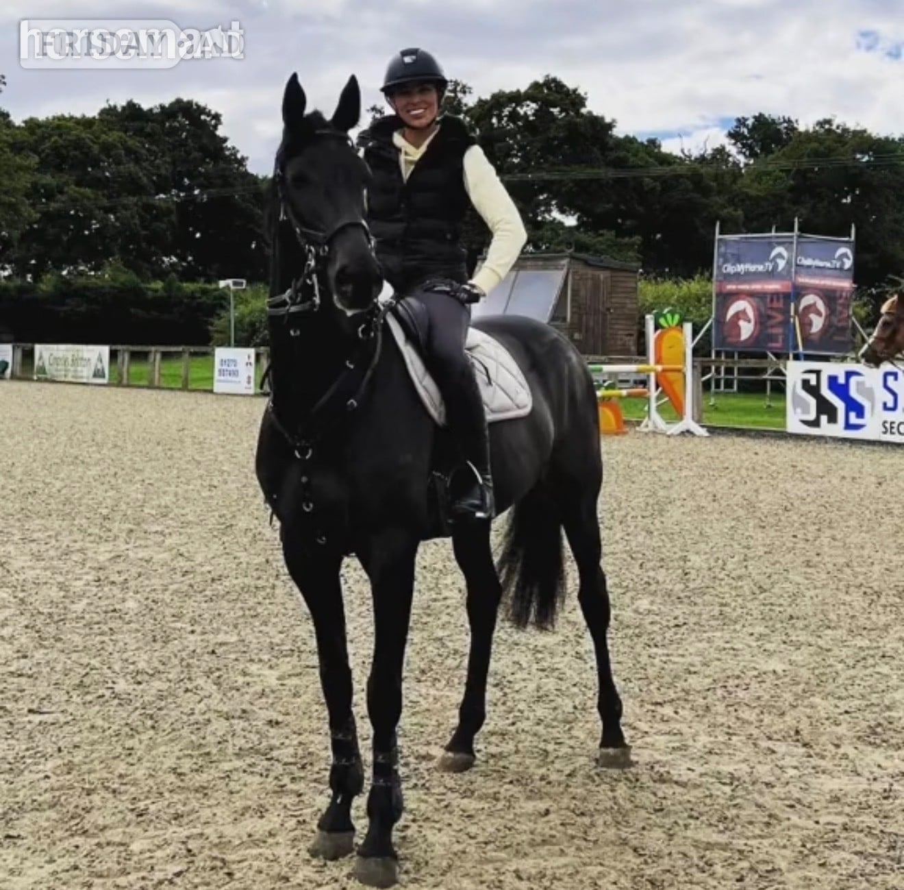 "Isabella W (Mya) " Dark Bay Mare Show Jumper - Horses