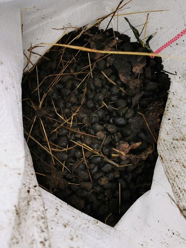 Composted Alpaca Manure