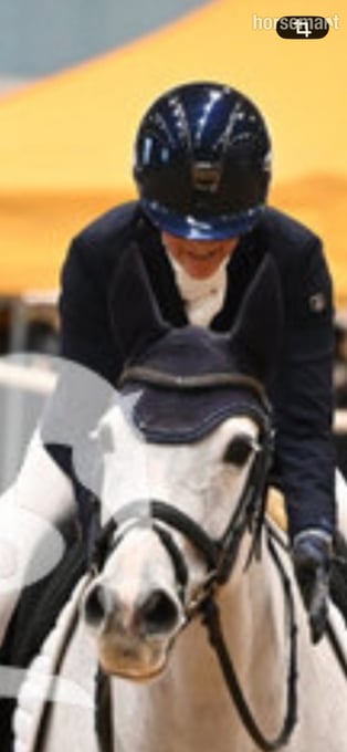 "Bon bon" Grey Mare Dressage Horse