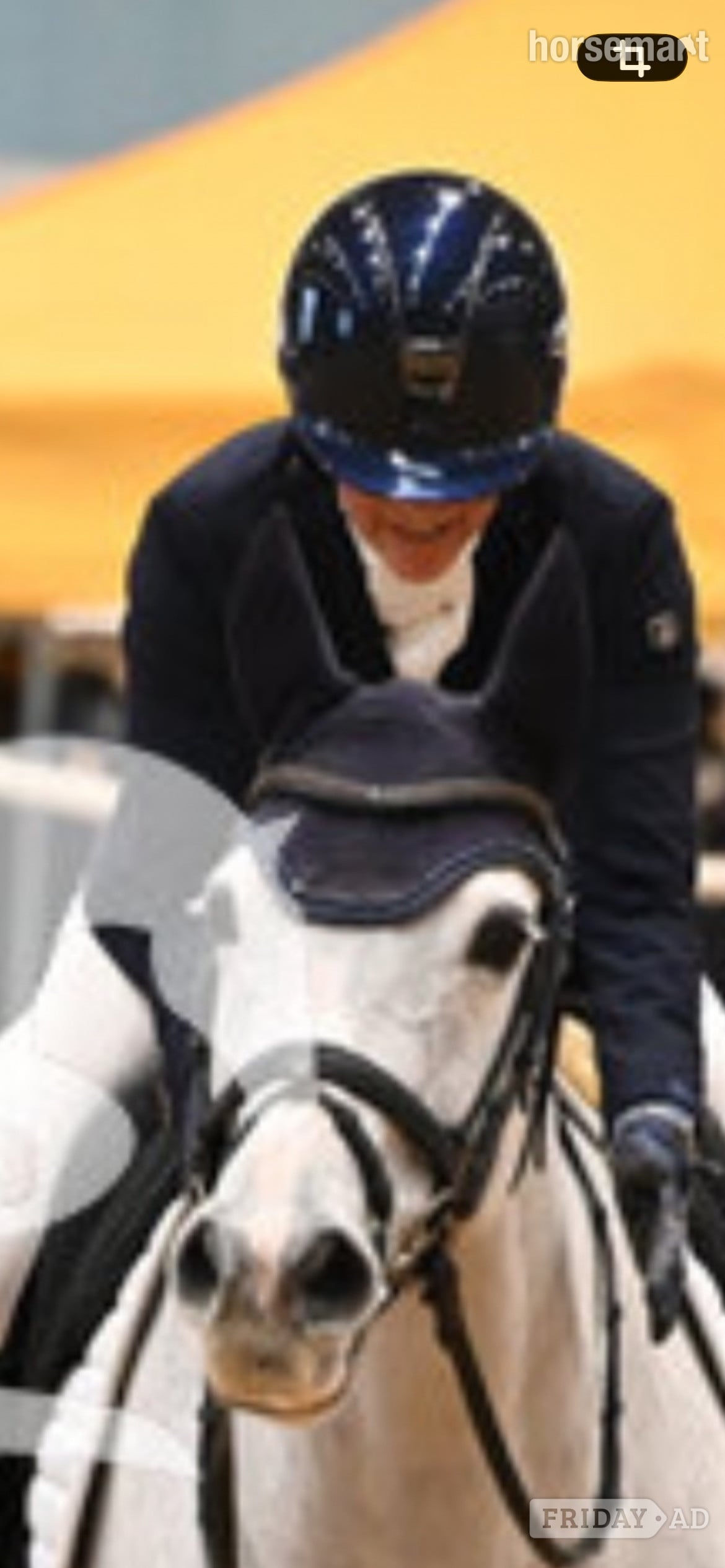 "Bon bon" Grey Mare Dressage Horse in Stoke