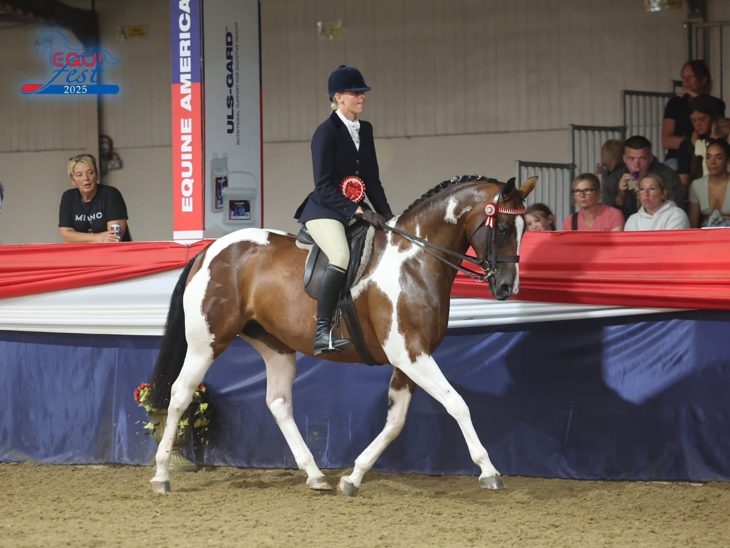 "Candyland " Skewbald Mare Dressage Horse