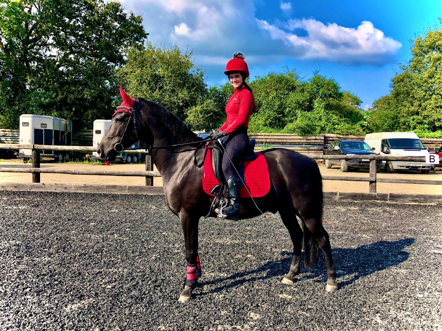 15hh Andalusian x Welsh B for loan/share - Horses in Pulborough