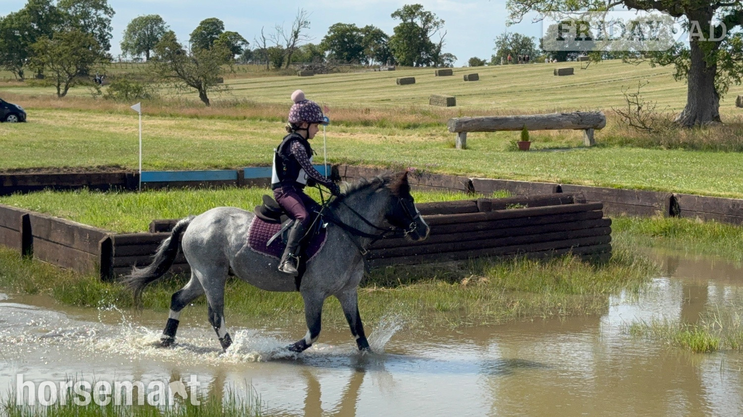 "Steady &amp; Experienced" Blue Roan Gelding Lead Rein/First Ridden Pony