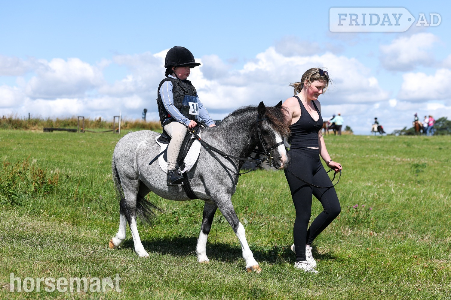 "Steady &amp; Experienced" Blue Roan Gelding Lead Rein/First Ridden Pony - Horses in Prudhoe