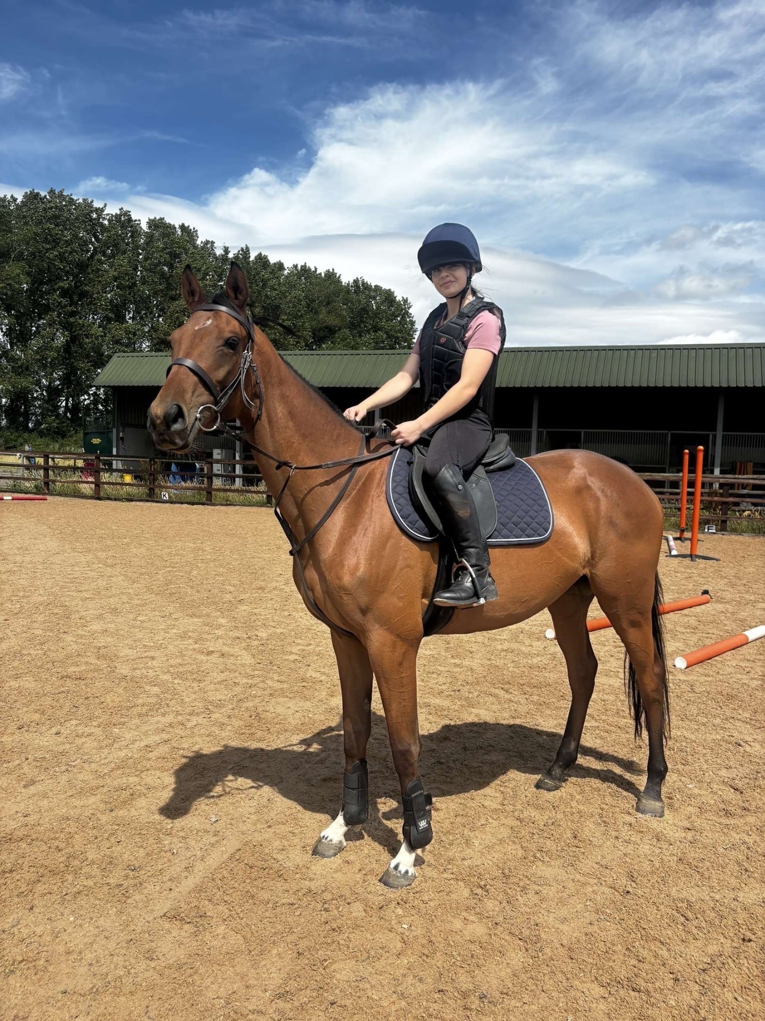 OTTB available for part loan - Horses in Walsall