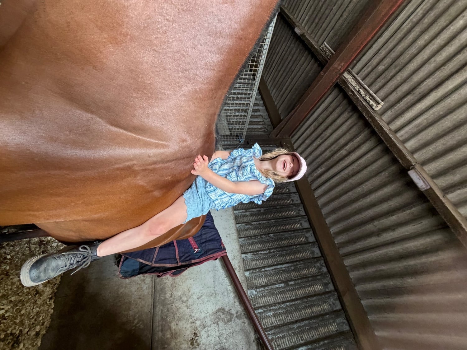 OTTB available for part loan - Horses