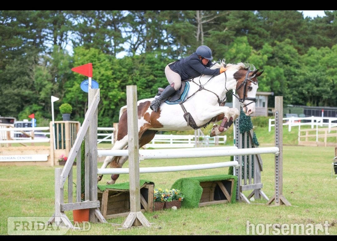 "The sapphire queen " Skewbald Mare All Rounder in Redruth