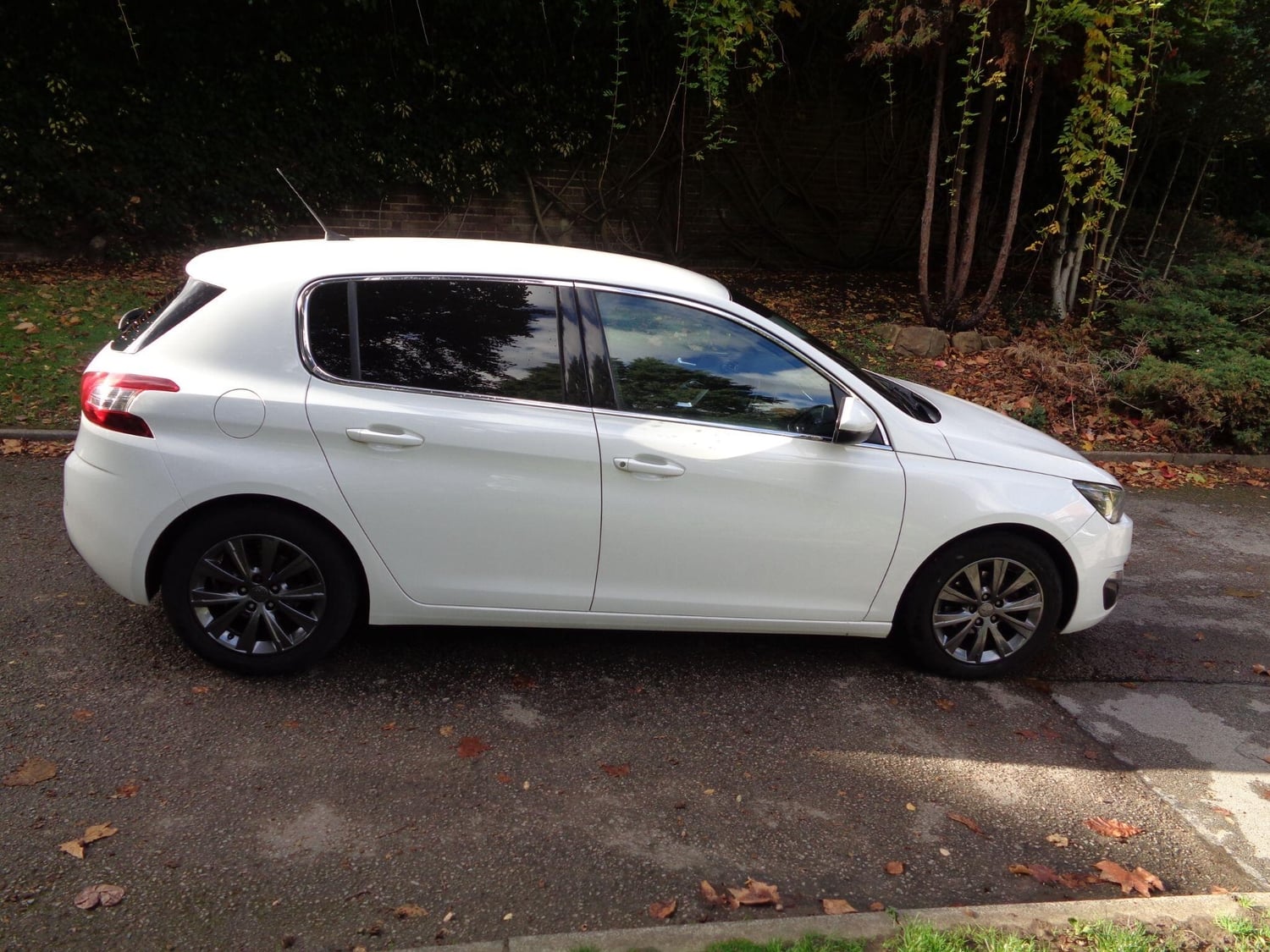 [ berth ]Peugeot 308