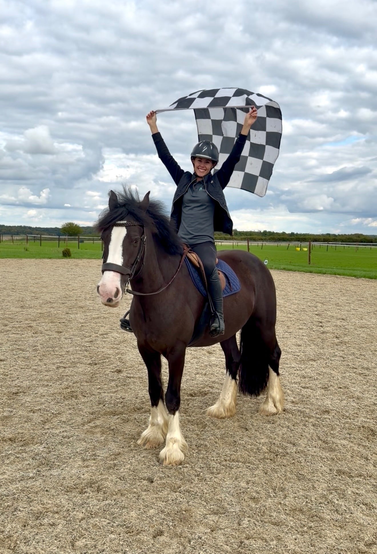 "Sophie " Black Mare Cob/Heavy Horse
