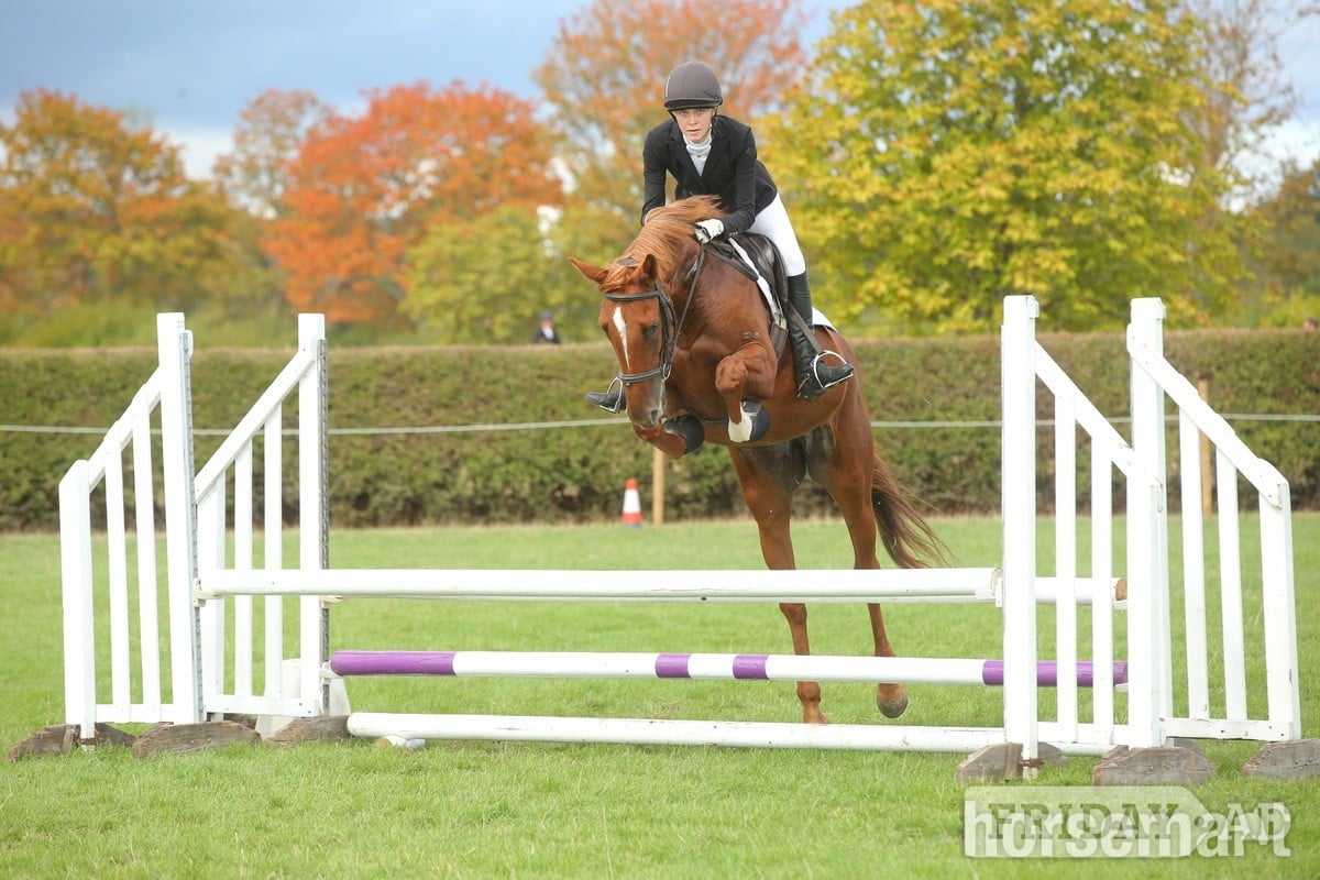 "Iris " Chestnut Mare Eventer in Tonbridge