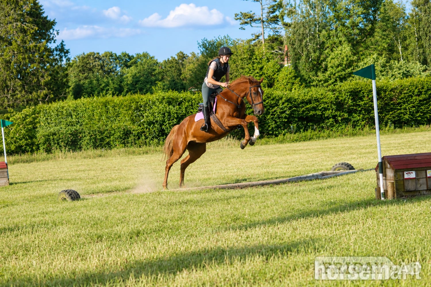 "Iris " Chestnut Mare Eventer - Horses
