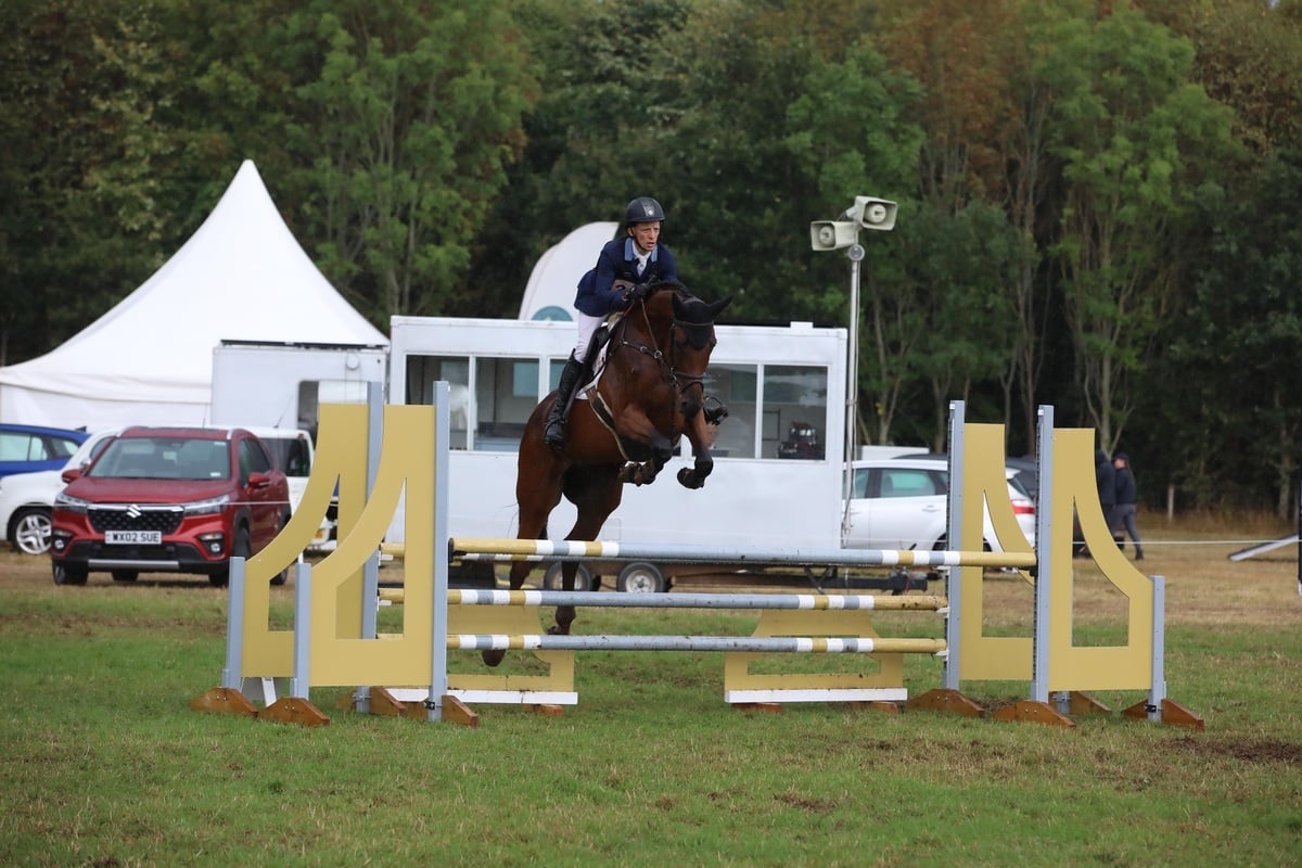 Towcester "ANNE BONNY" Bay Mare Show Jumper