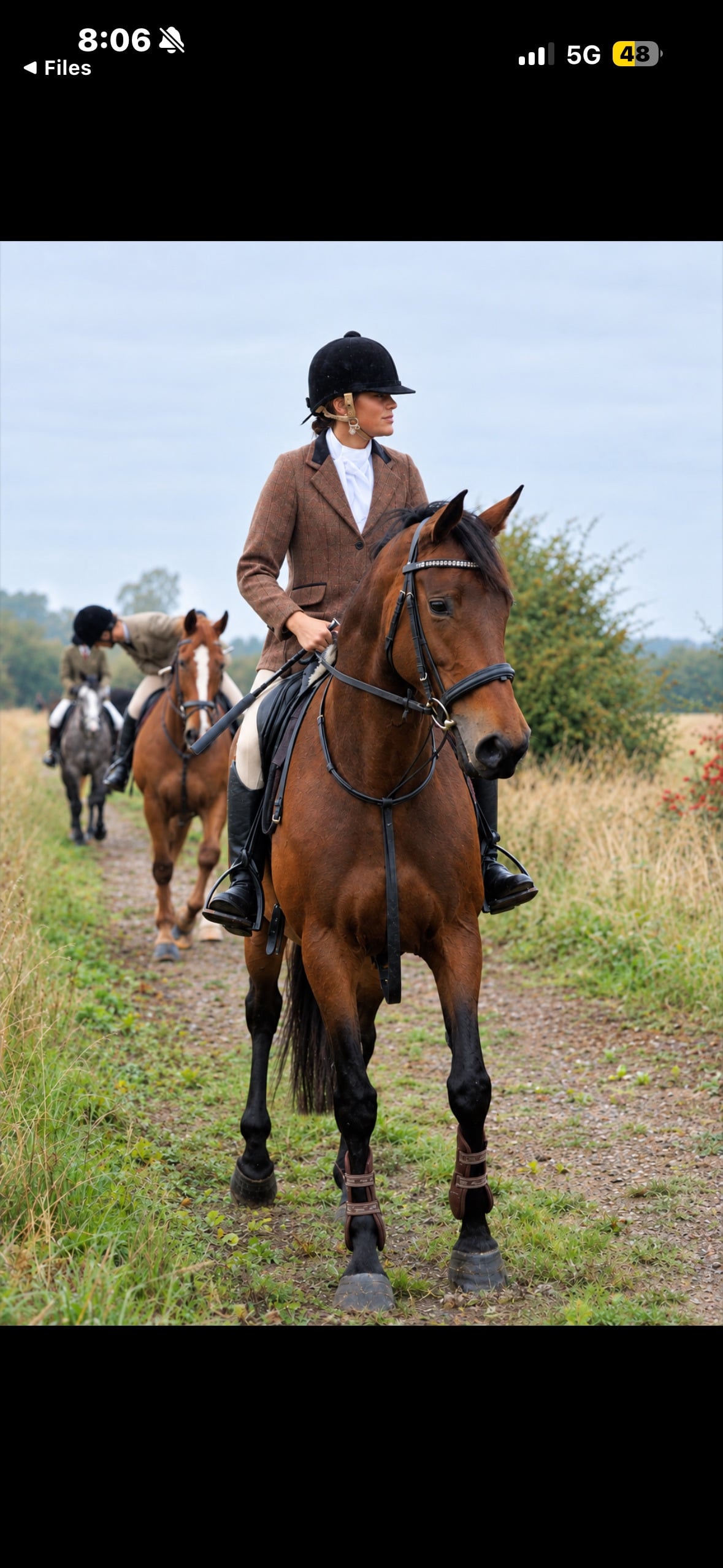 "?PEARL?" Bay Mare Happy Hacker
