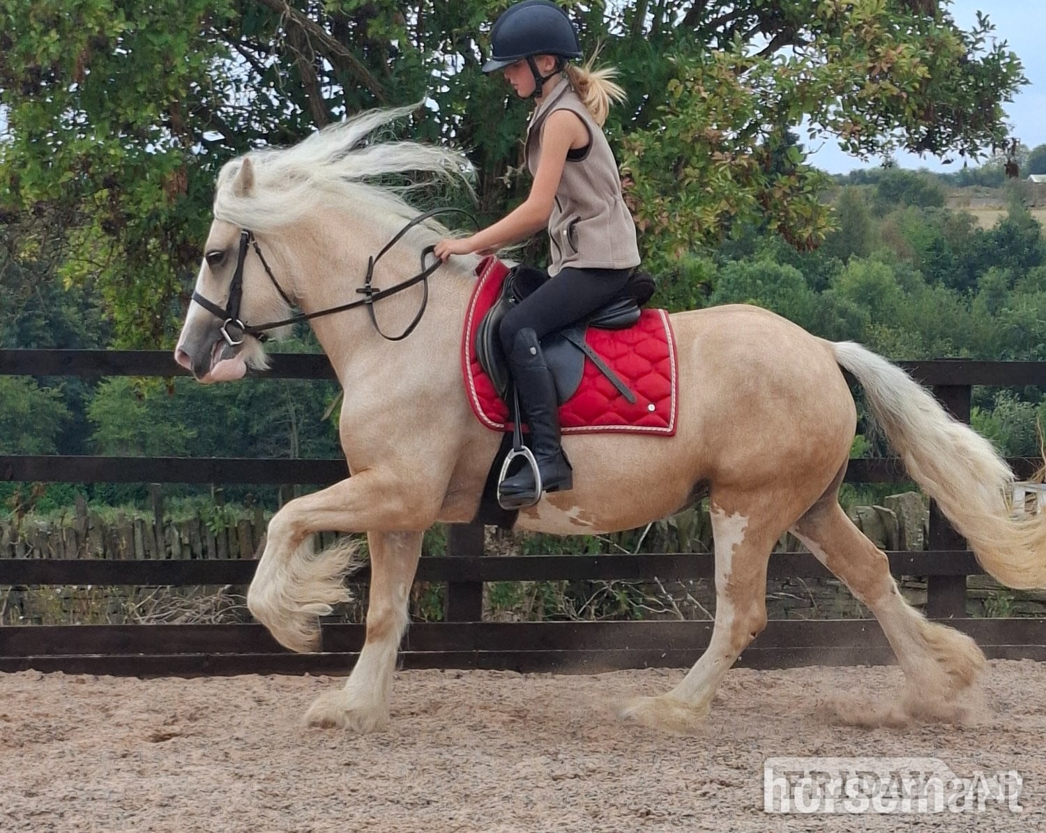 "Butter scotch " Palomino Mare Cob/Heavy Horse - Horses