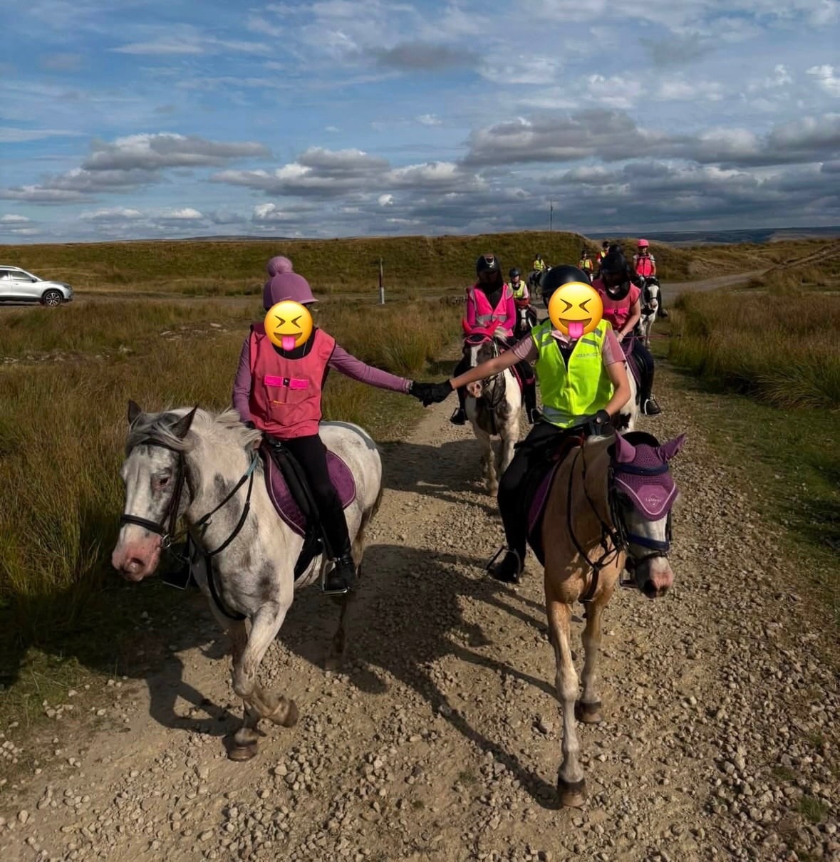 Bacup "Ernie (Mr. Boo)" Tri-Coloured Gelding All Rounder