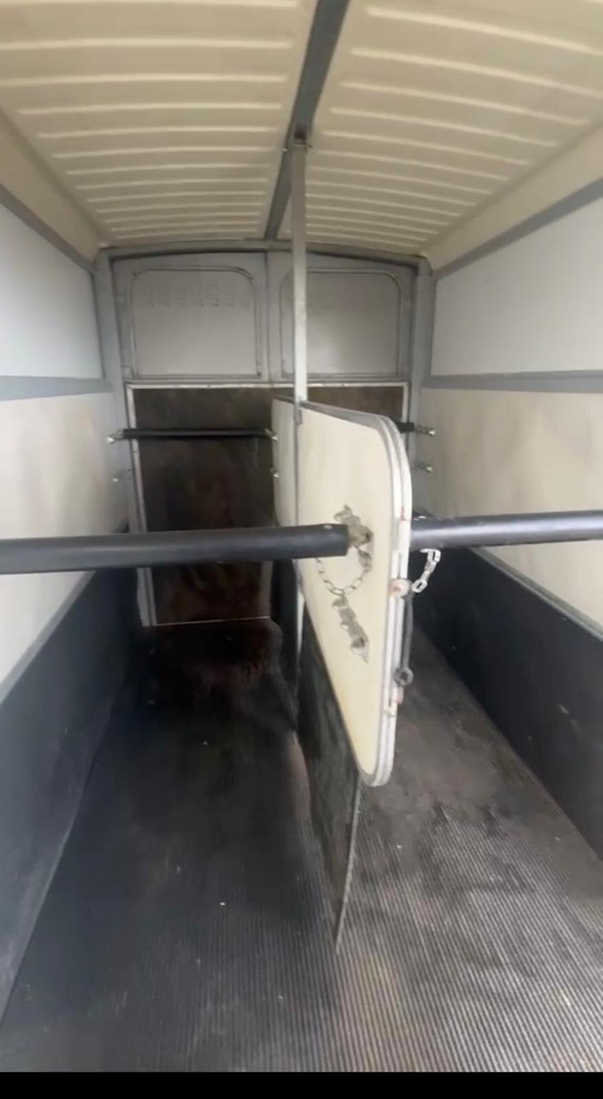 Ifor Williams HB511  Horse Trailer - Trailers & Horseboxes in Epworth