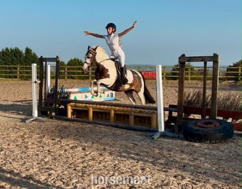 "Rosie" Skewbald Mare All Rounder