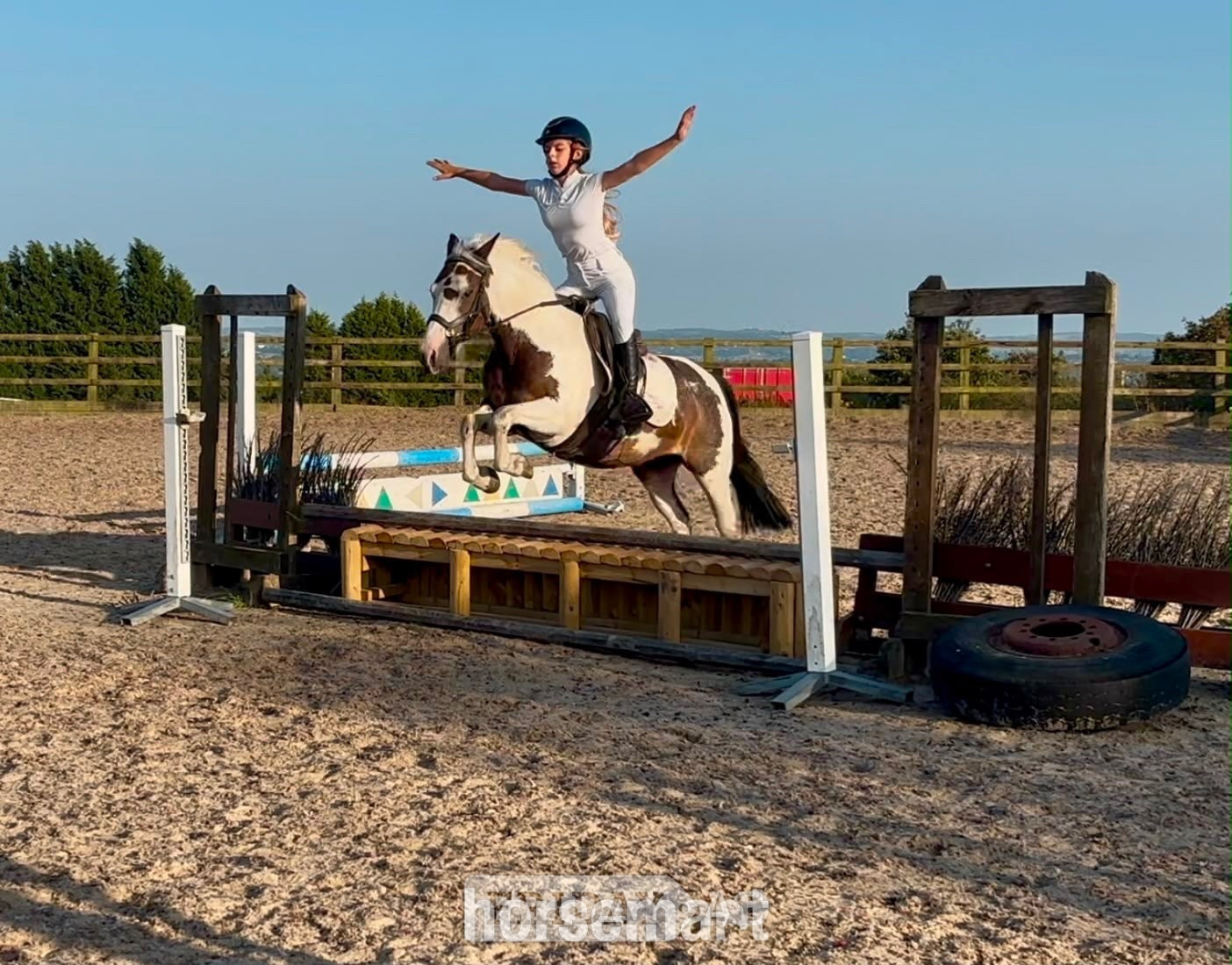 "Rosie" Skewbald Mare All Rounder in Mow Cop