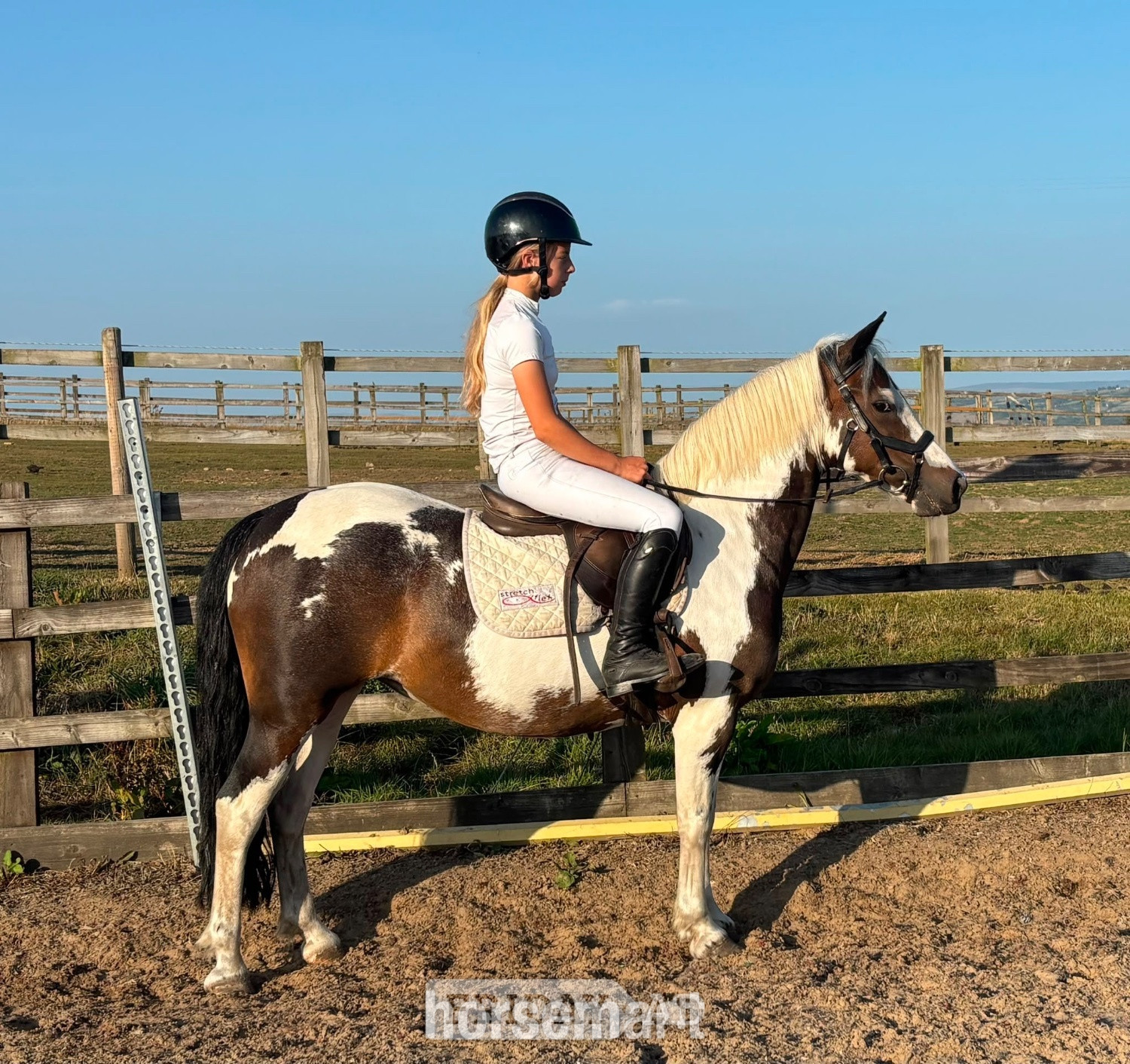 "Rosie" Skewbald Mare All Rounder