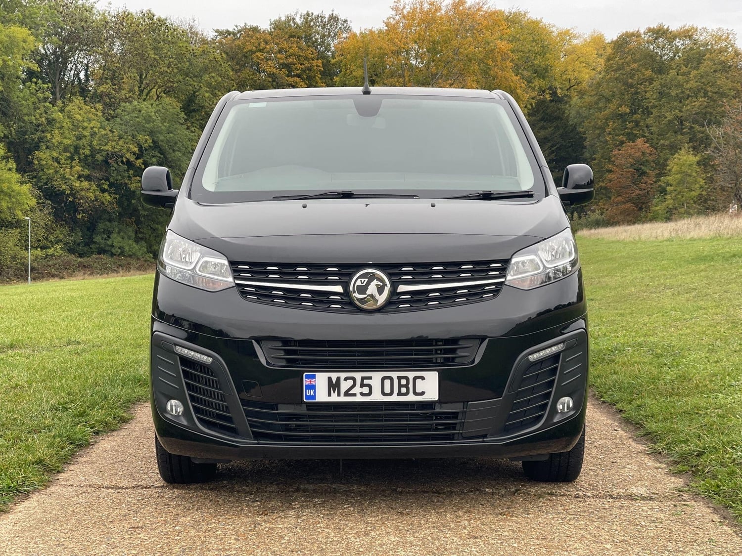 Vauxhall Vivaro Hemel Hempstead