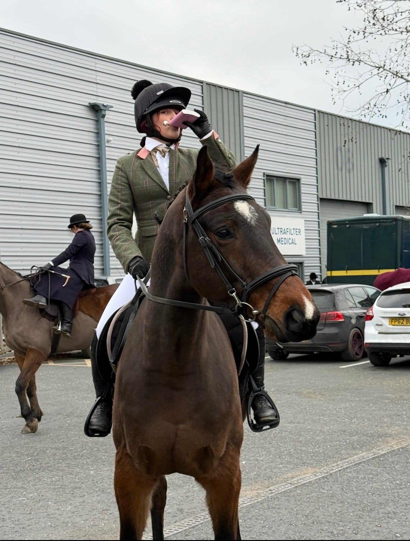 "NICOLAY H" Bay Gelding All Rounder - Horses in Hereford