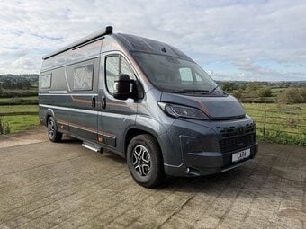 Robeta   for sale