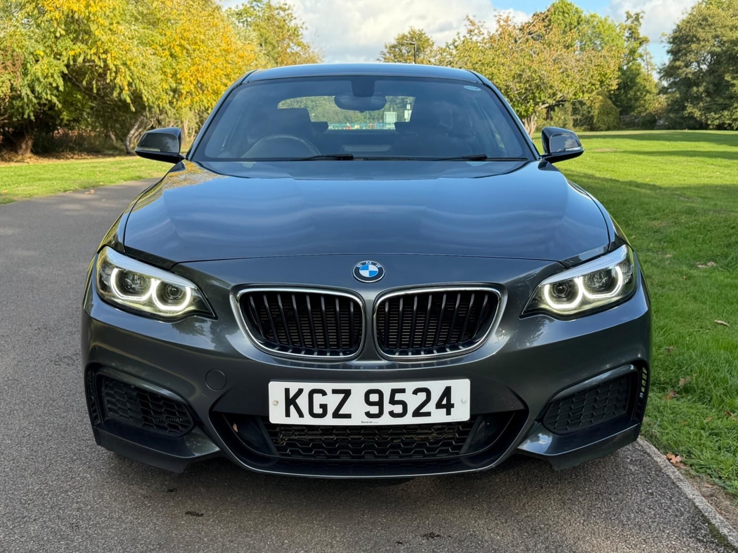 BMW 2 Series Addlestone