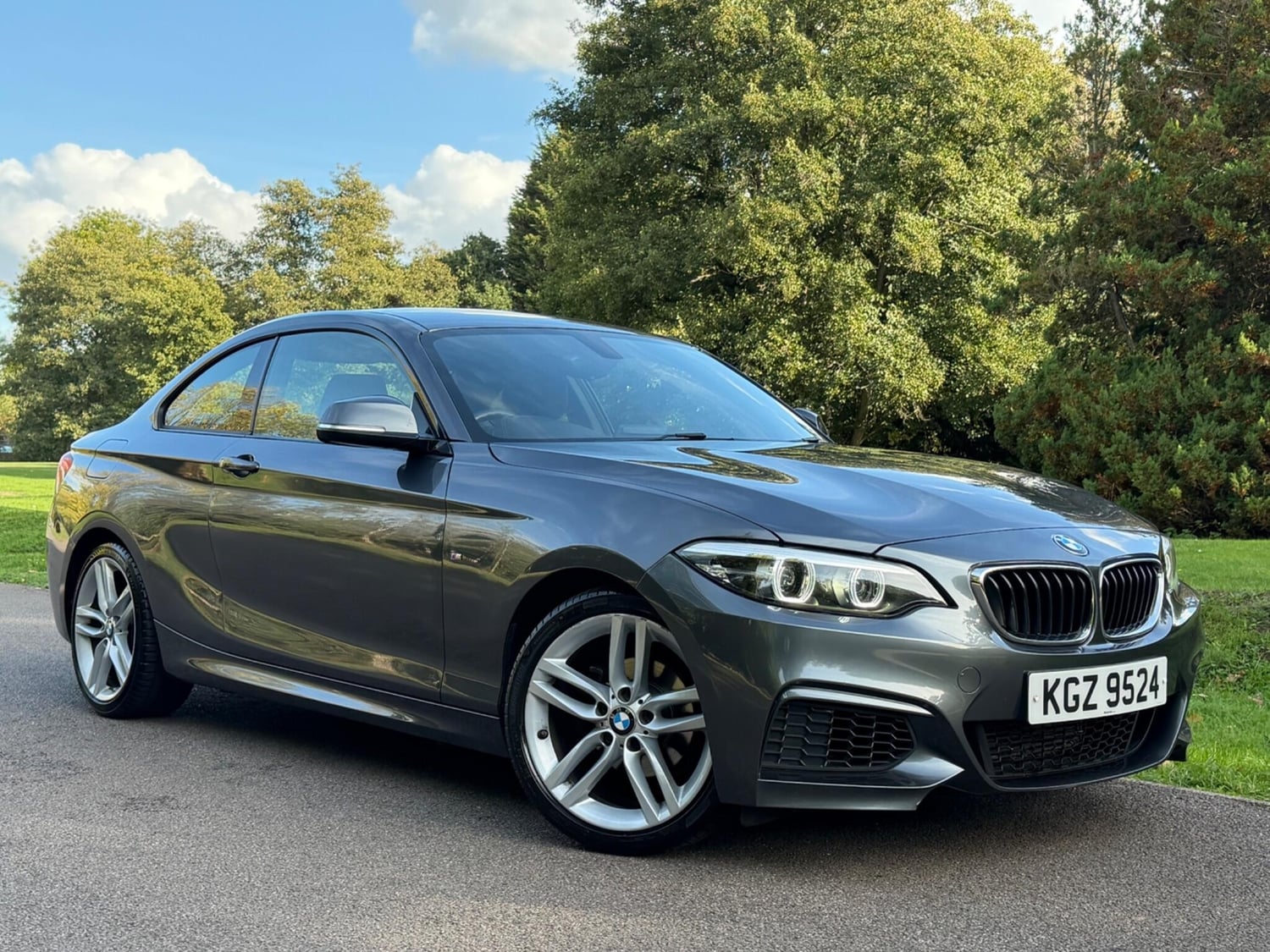 BMW 2 Series 2018 - Cars in Addlestone