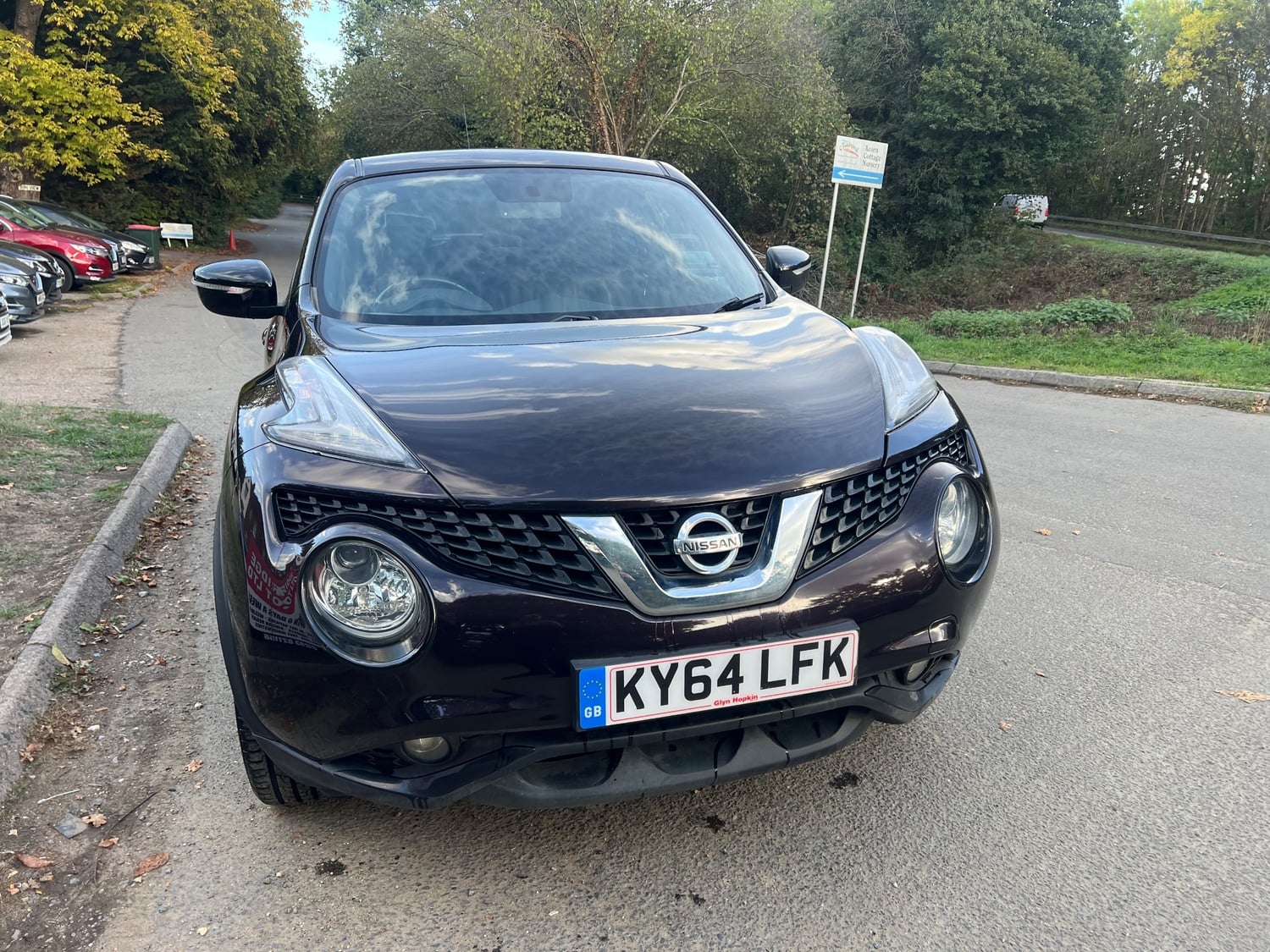 Nissan Juke Horley