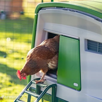 Omlet chicken coops