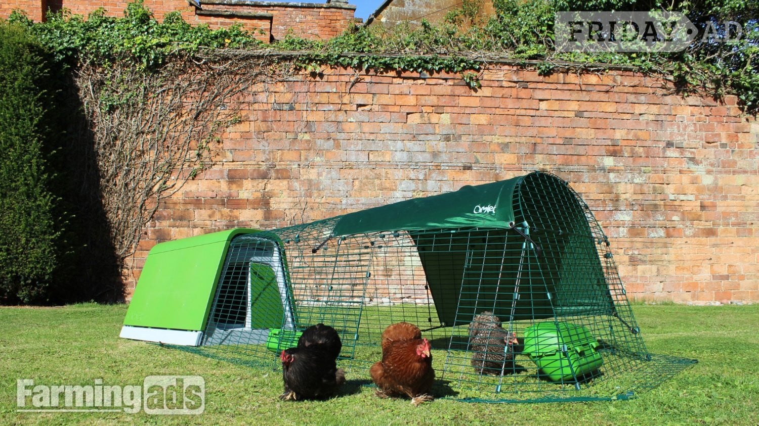 Leatherhead Omlet chicken coops