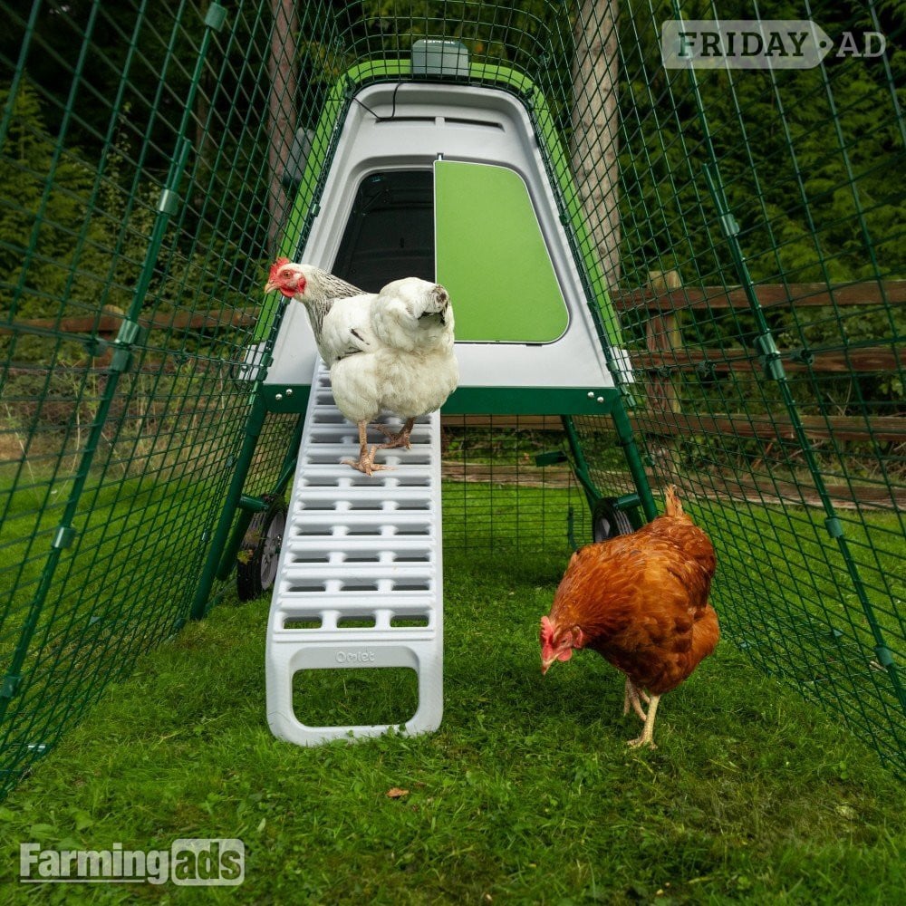 Omlet chicken coops -  in Leatherhead