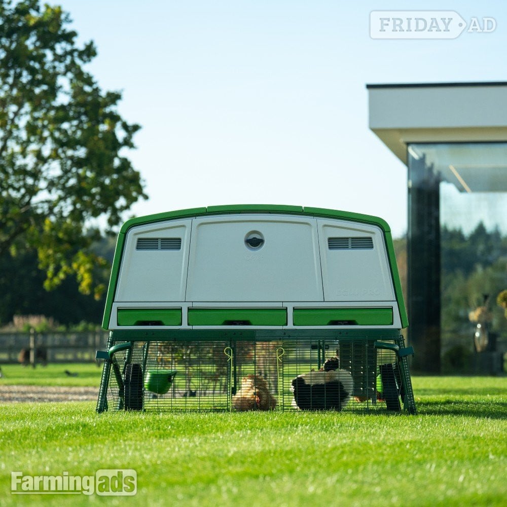 Omlet chicken coops - 