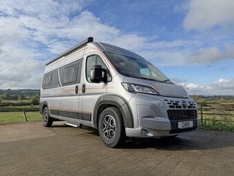 Robeta   for sale