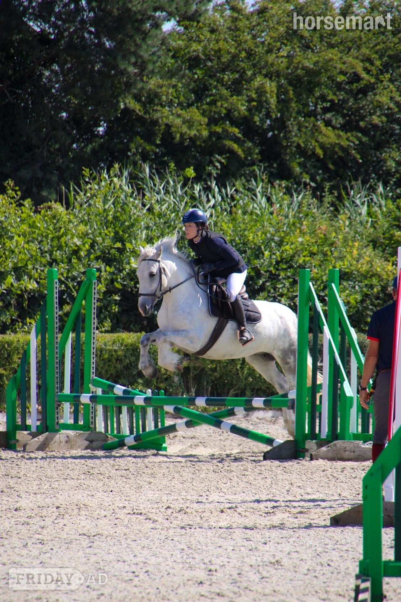 "Mitsy" Dapple Grey Mare All Rounder in Pontefract