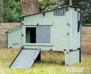 Chicken coops Nestera 100% recycled plastic in Leatherhead