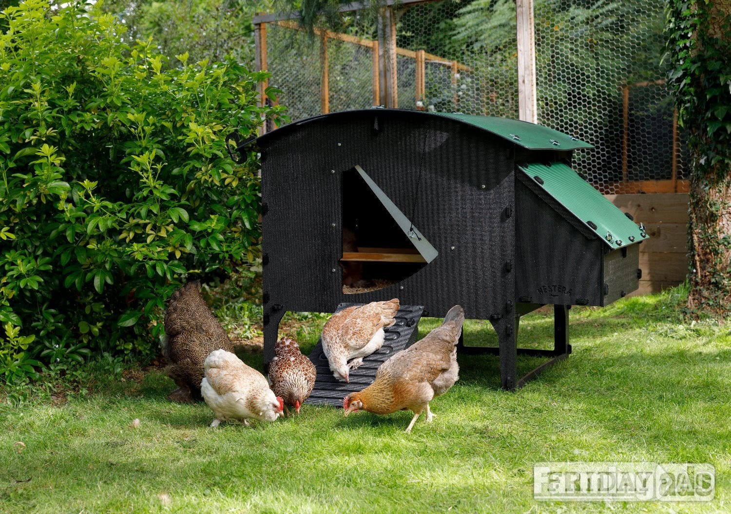 Leatherhead Chicken coops Nestera 100% recycled plastic