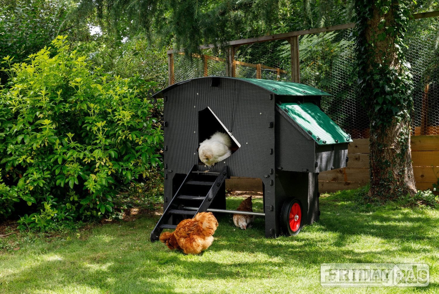 Chicken coops Nestera 100% recycled plastic -  in Leatherhead