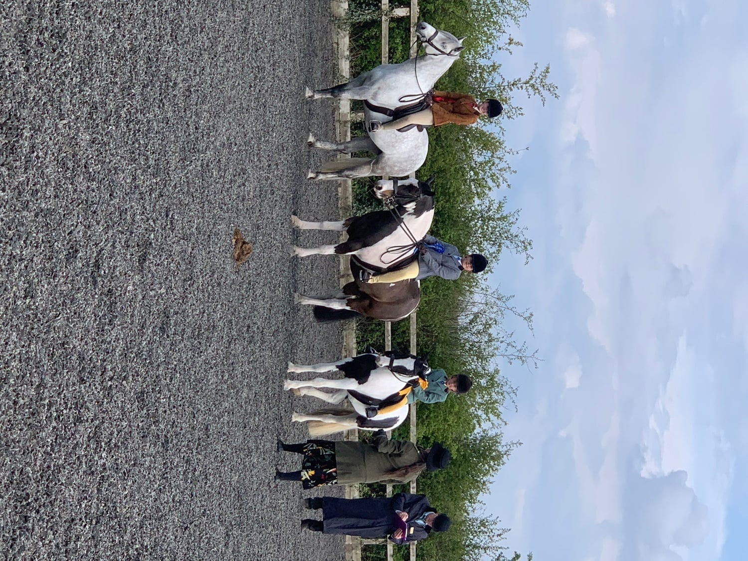 Leeds "Matilda " Piebald Mare Lead Rein/First Ridden Pony